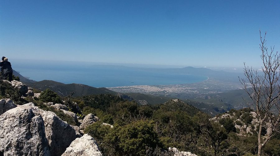 Artemisia, Messenia