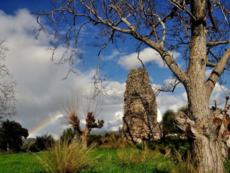 Experiences Kalamata | Agrotourism & Outdoor Activites