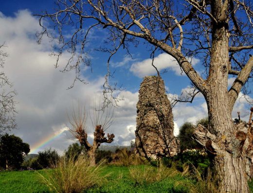 Experiences Kalamata | Agrotourism & Outdoor Activites