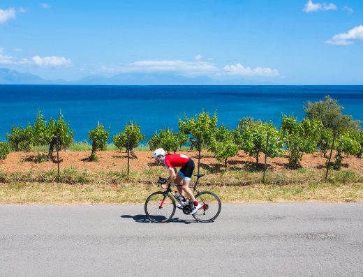 Experiences Kalamata | Agrotourism & Outdoor Activites